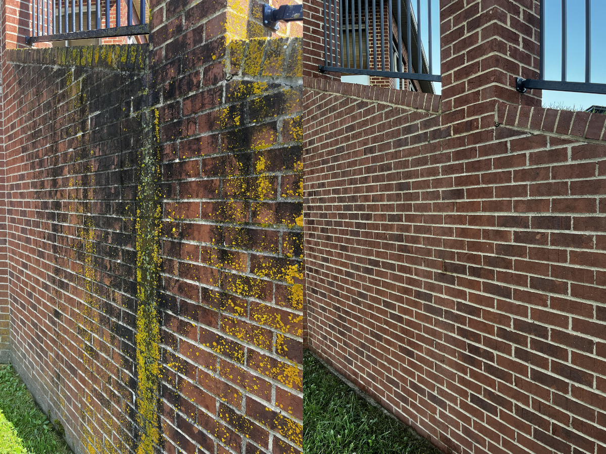 Brick lichen removal
