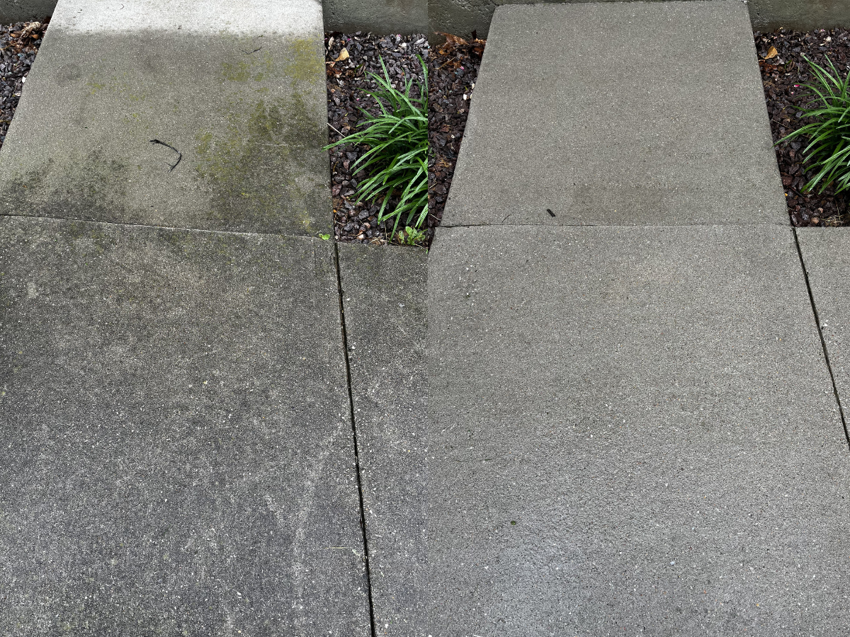 Concrete walkway algae removal