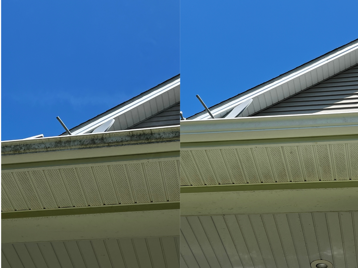 Gutter cleaning