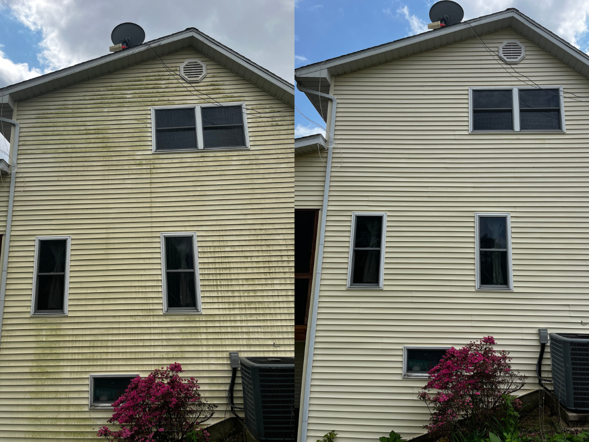 House siding mold removal