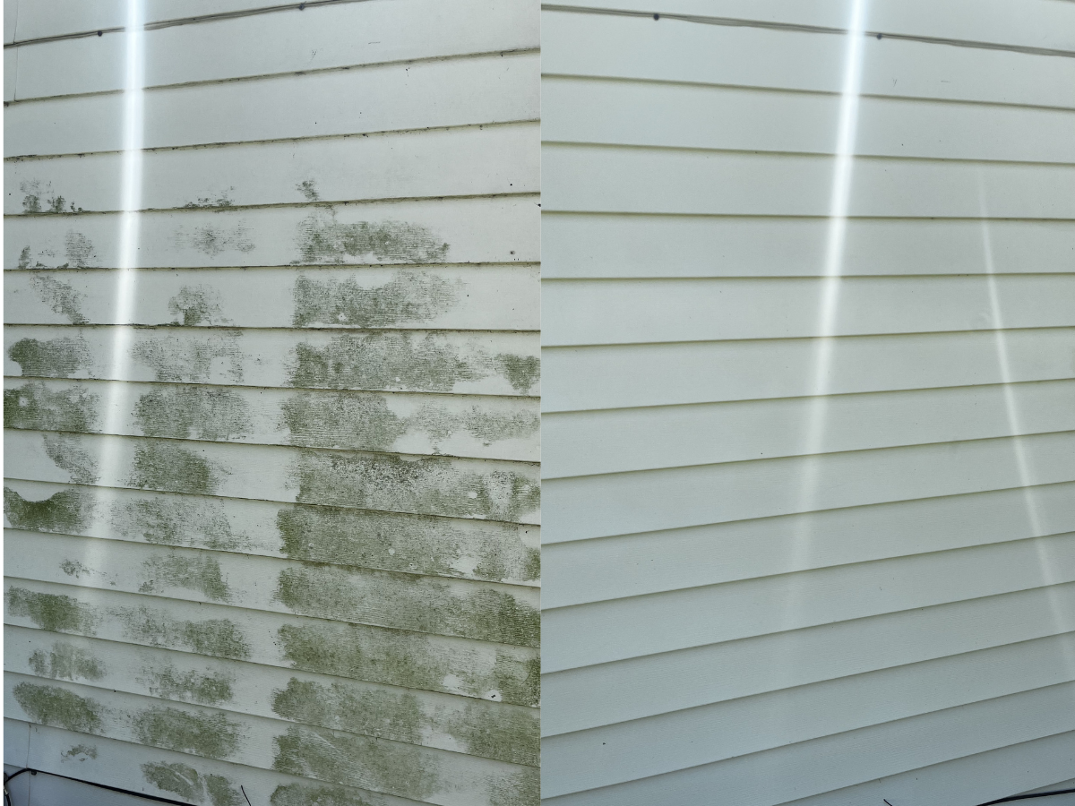 House siding cleaning