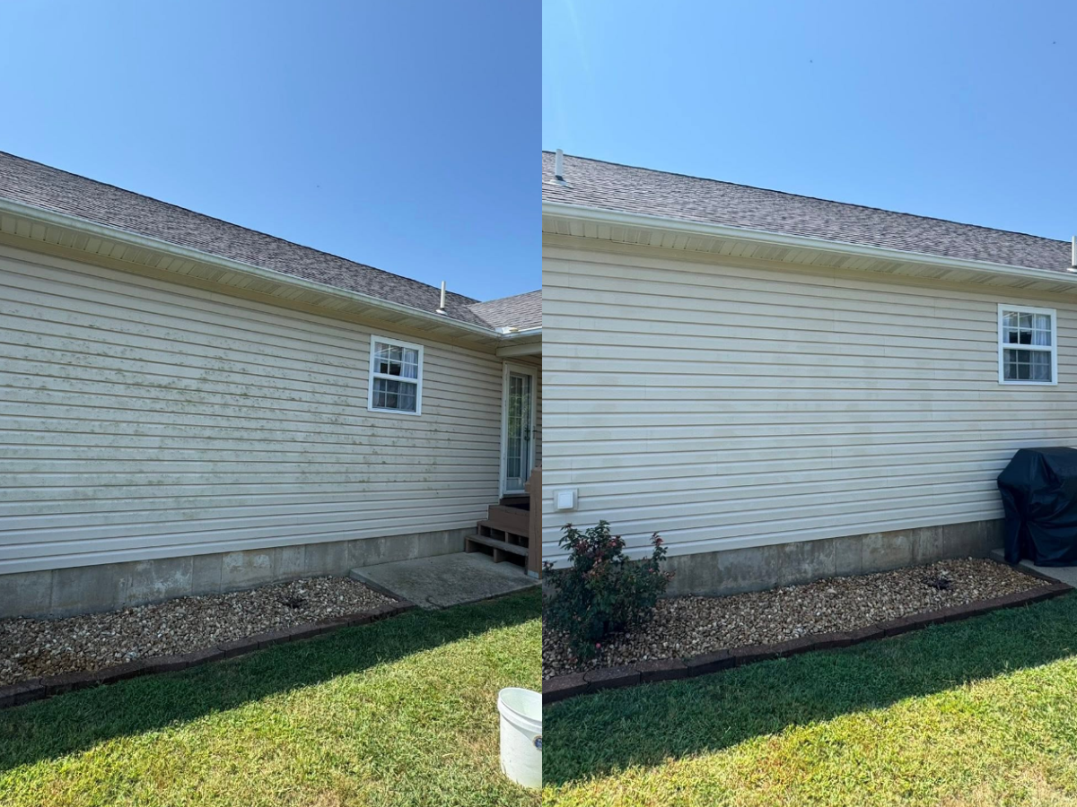 Vinyl siding cleaning