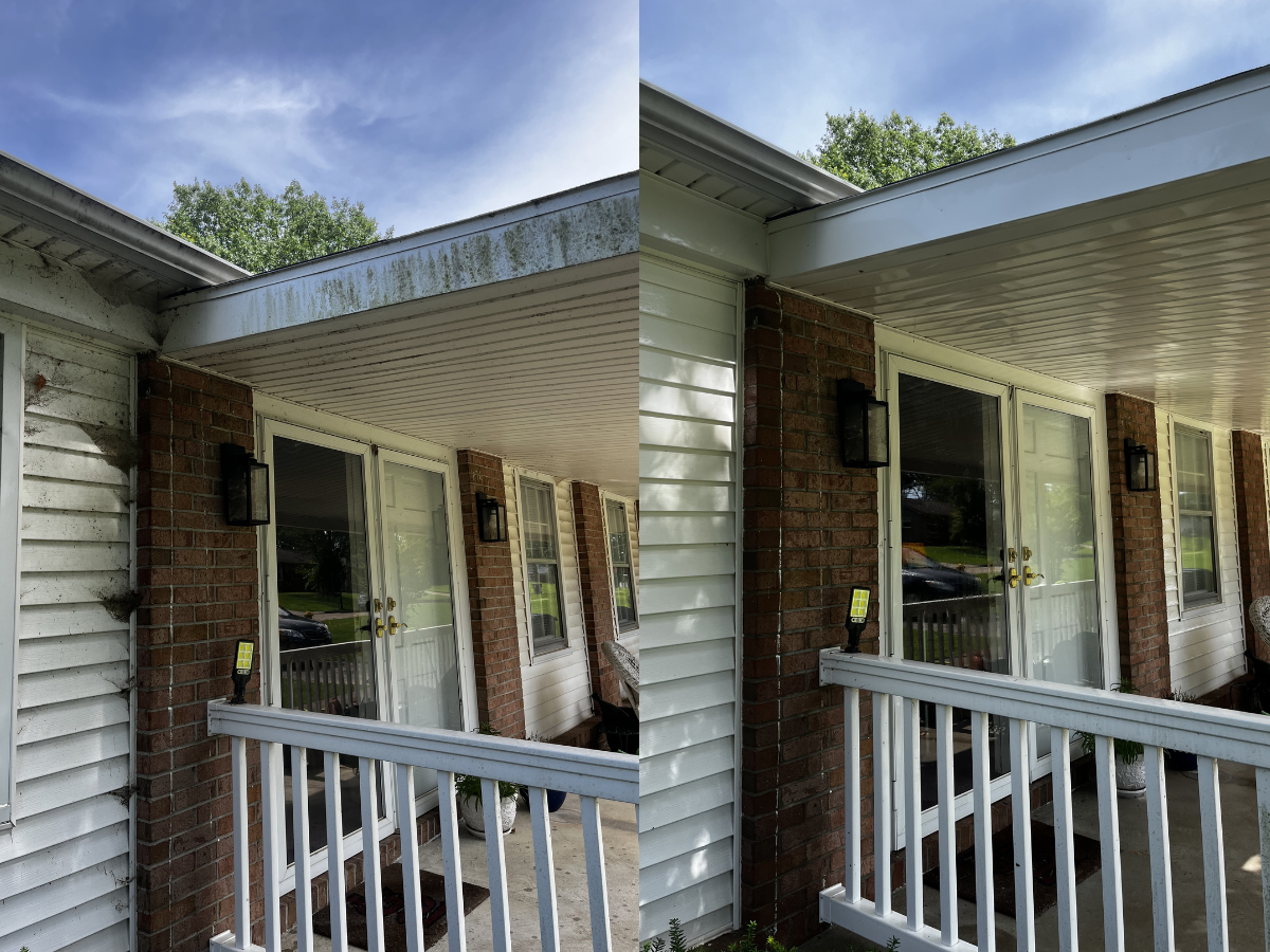 House siding and gutters cleaning